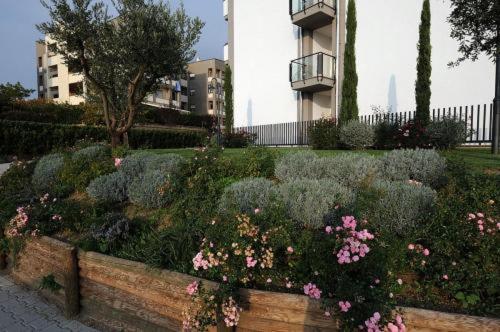 Aparthotel Lorenzo Da 3*